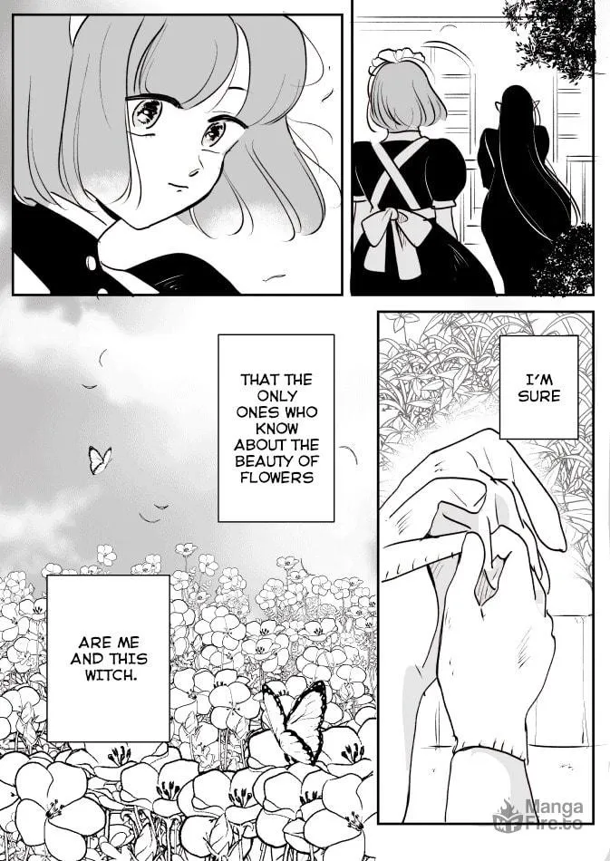 Read Witch and Maid-chan chapter 2 image 2 on Lezhin