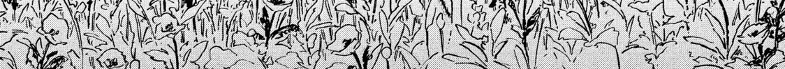 Read Witch Hat Atelier chapter 29 image 1 on Lezhin