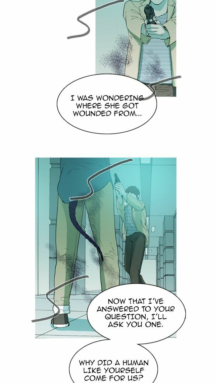 Read Witch Hunt chapter 64 image 17 on Lezhin