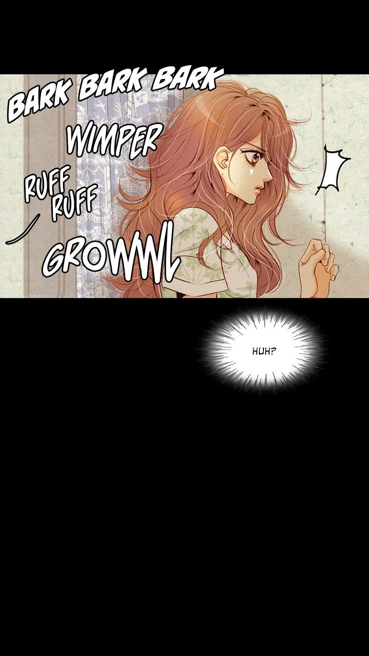 Read Witch
