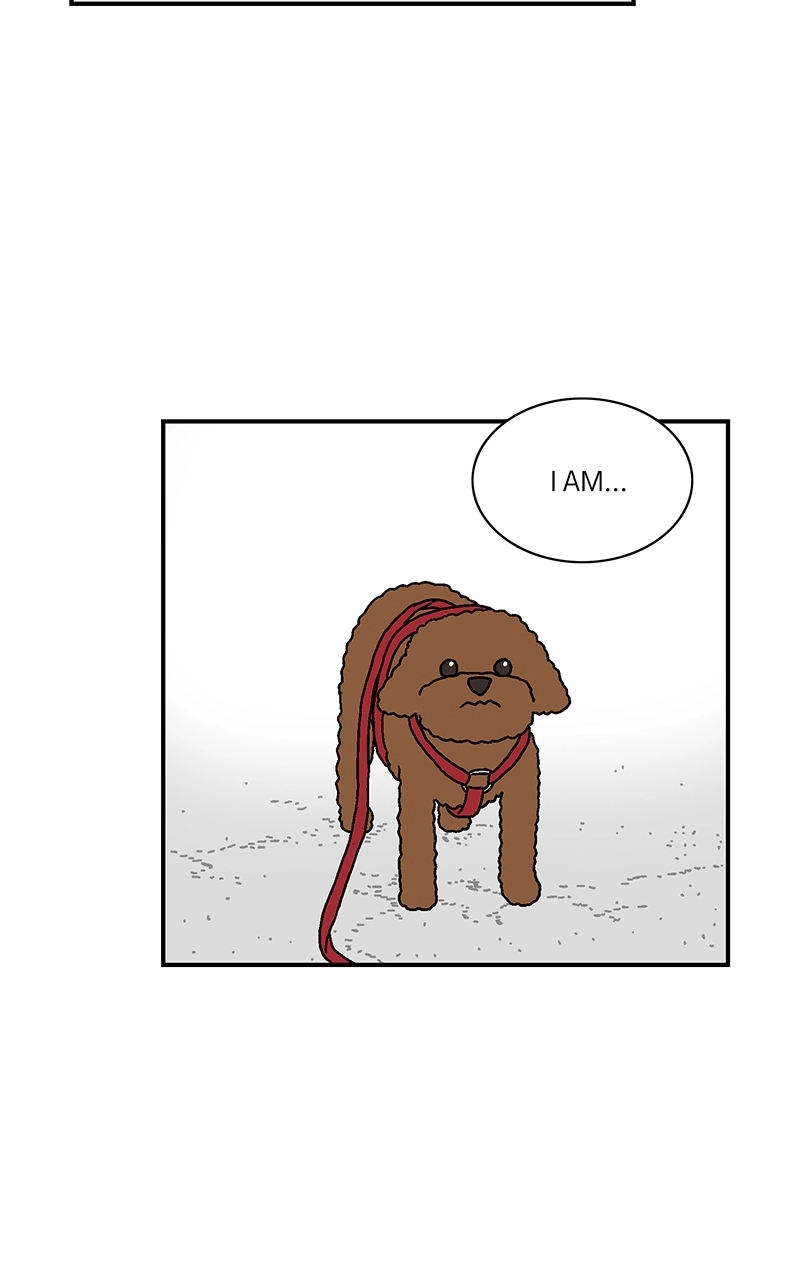 Read With Tony chapter 12 image 24 on Lezhin