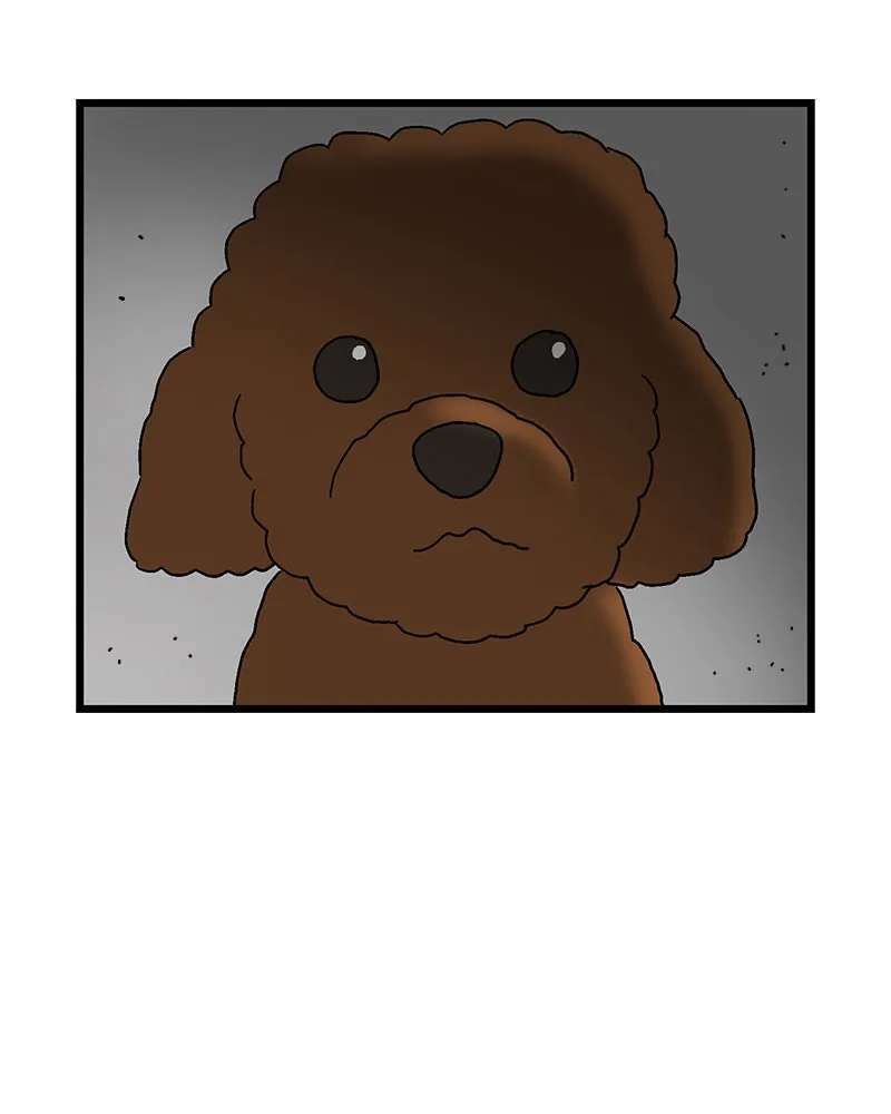 Read With Tony chapter 3 image 3 on Lezhin