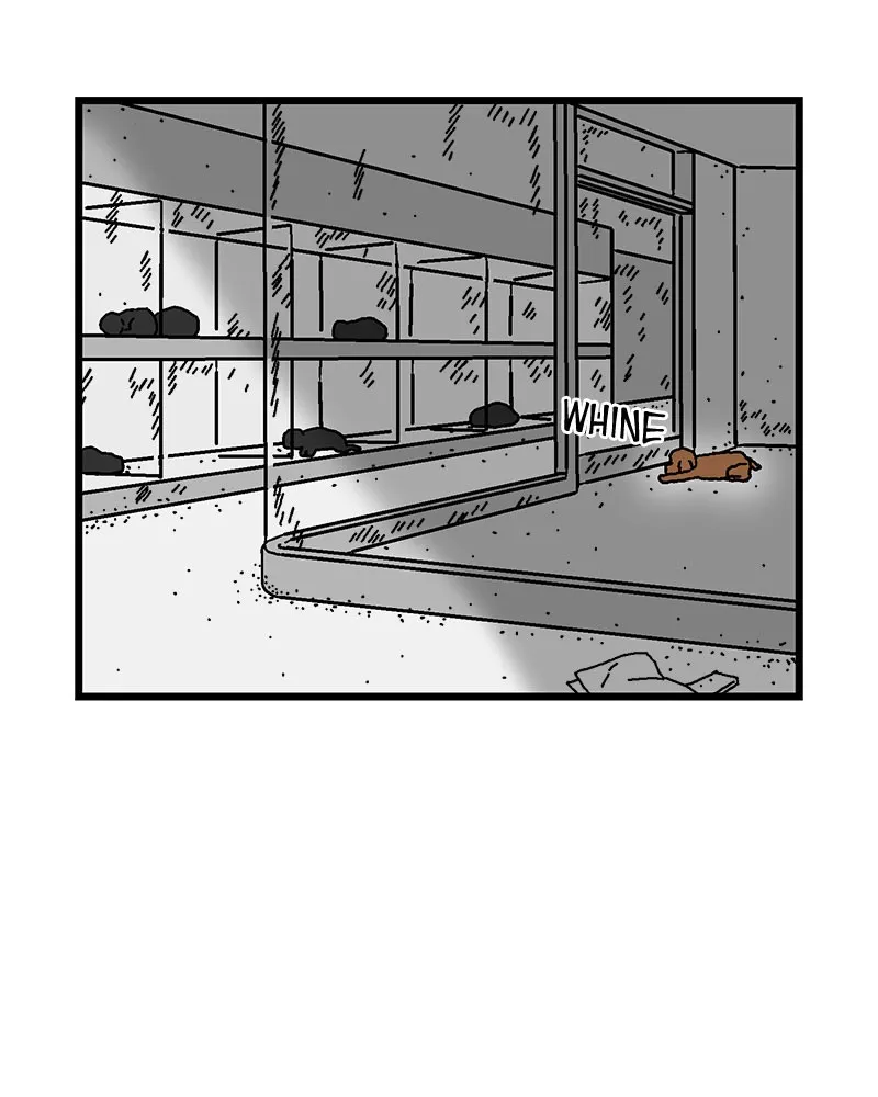 Read With Tony chapter 3 image 65 on Lezhin