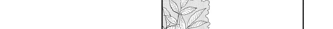 Read With You and the Rain chapter 30 image 1 on Lezhin