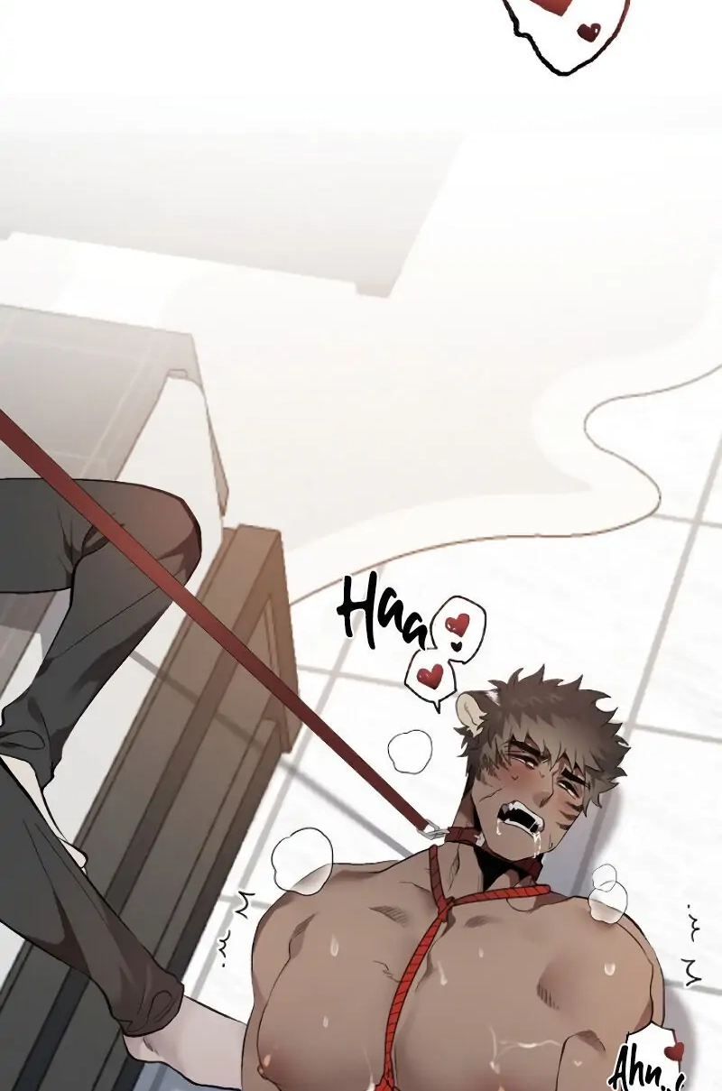 Read With Your Tail, Yes â™¥ chapter 5 image 5 on Lezhin