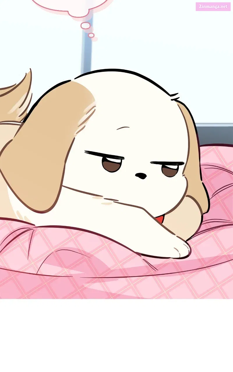 Read Woke Up as the CEO’s Dog chapter 21 image 33 on Lezhin