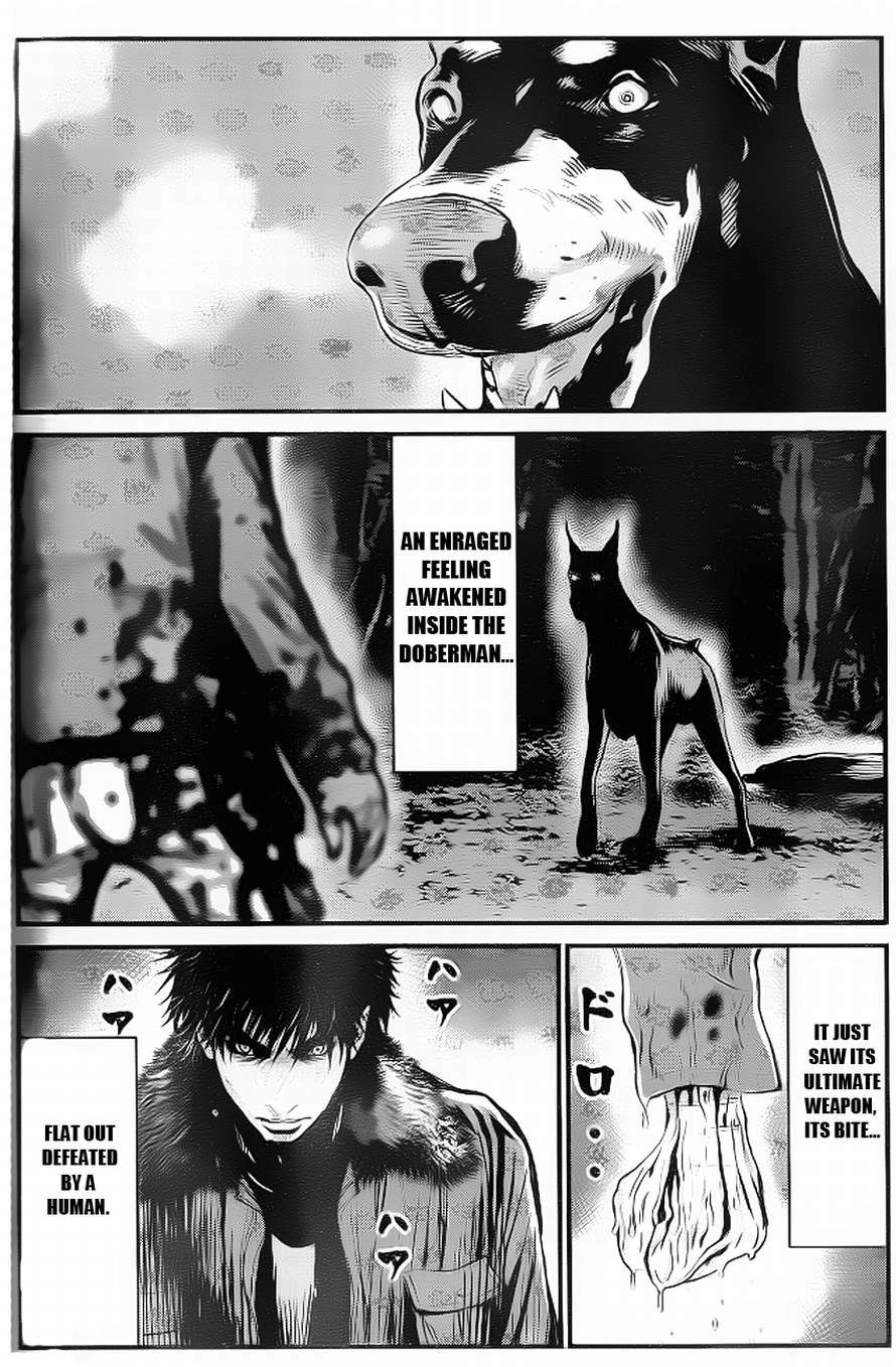 Read Wolf Guy chapter 89 image 15 on Lezhin