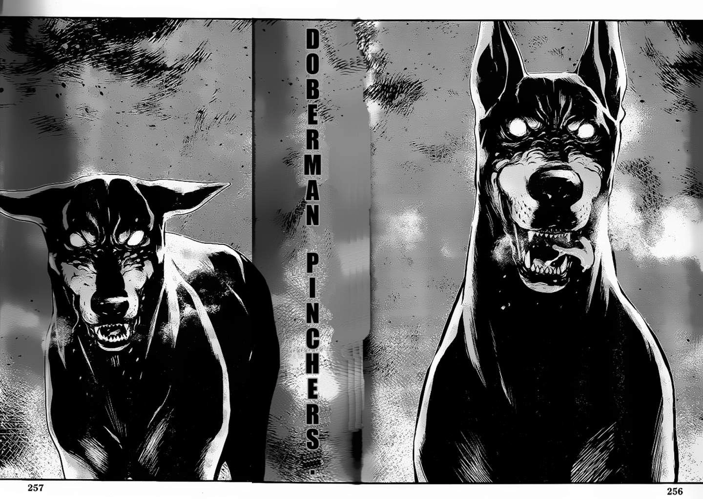 Read Wolf Guy chapter 89 image 5 on Lezhin
