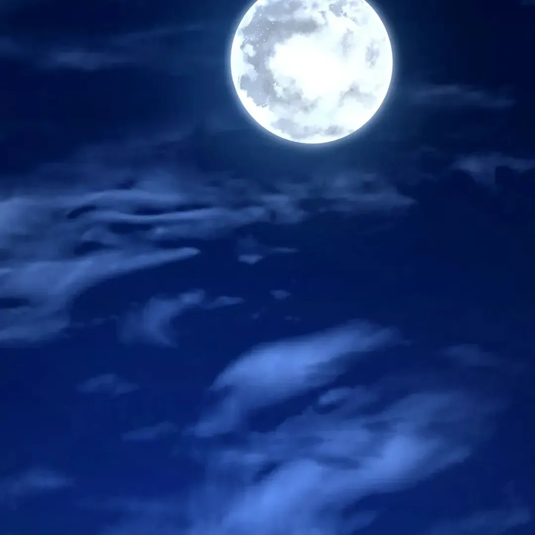 Read Wolf in the Cage chapter 22 image 125 on Lezhin