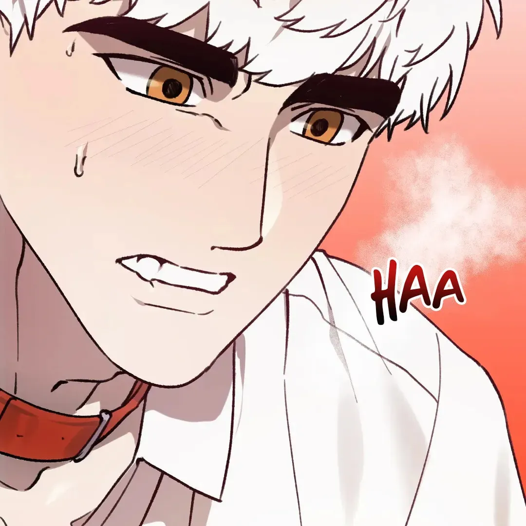 Read Wolf in the Cage chapter 23 image 28 on Lezhin