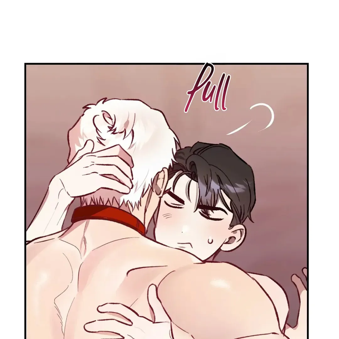 Read Wolf in the Cage chapter 24 image 95 on Lezhin