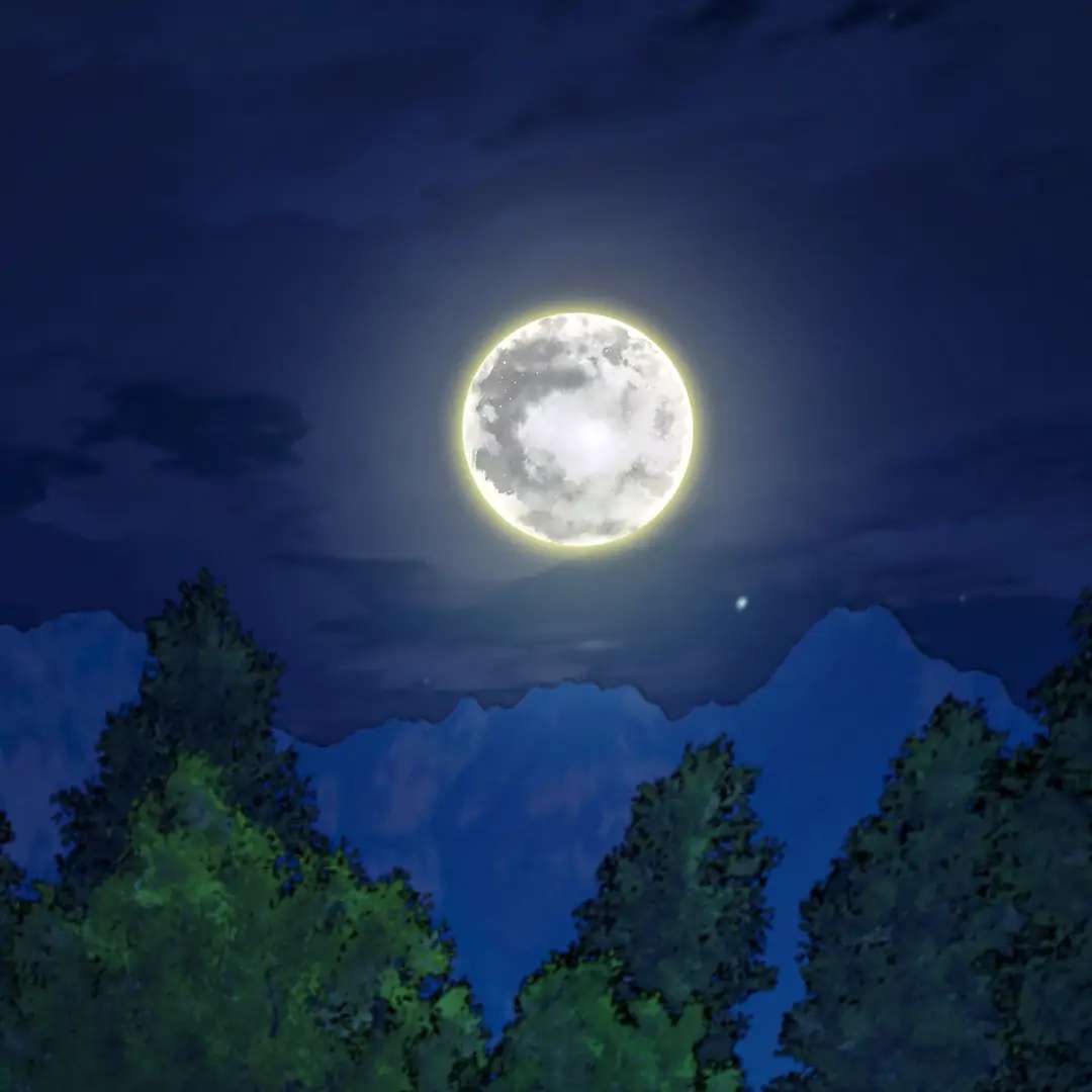 Read Wolf in the Cage chapter 36 image 172 on Lezhin