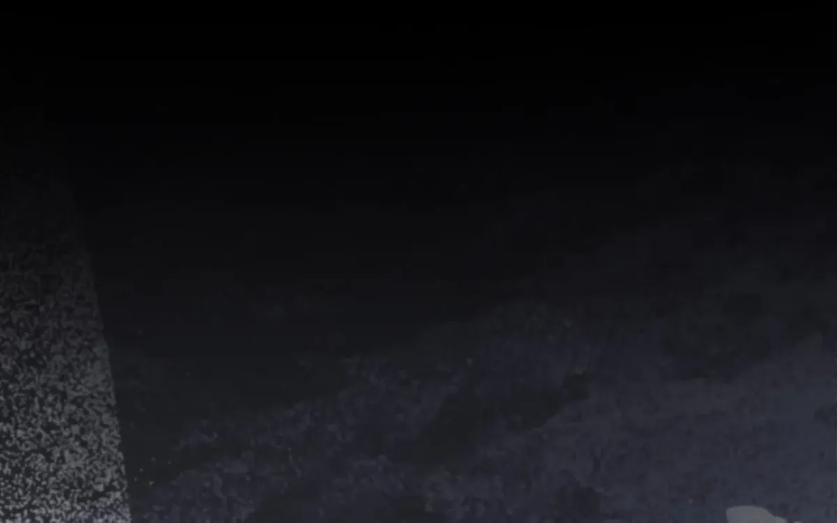 Read Wolf in White chapter 29 image 1 on Lezhin