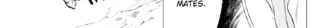 Read Wolf Pack chapter 2 image 13 on Lezhin