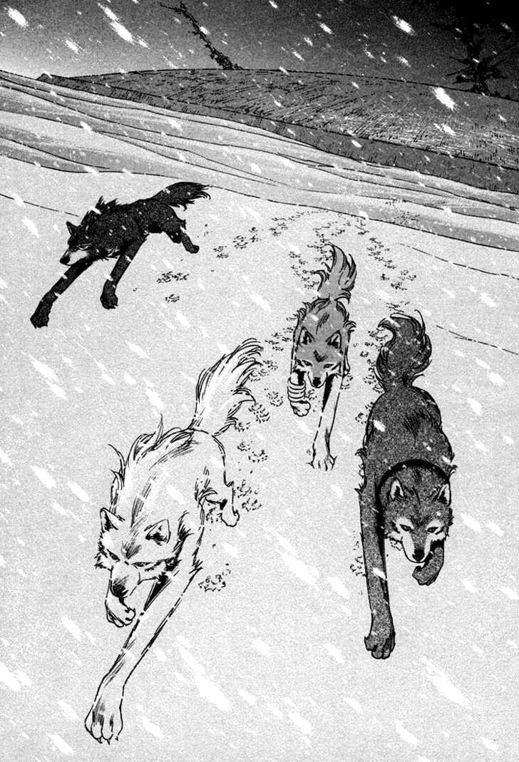 Read Wolf