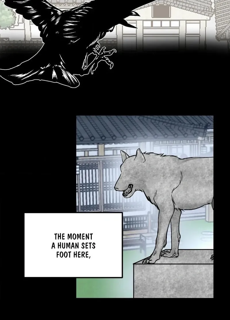 Read Wolves Are Dangerous! chapter 1 image 19 on Lezhin
