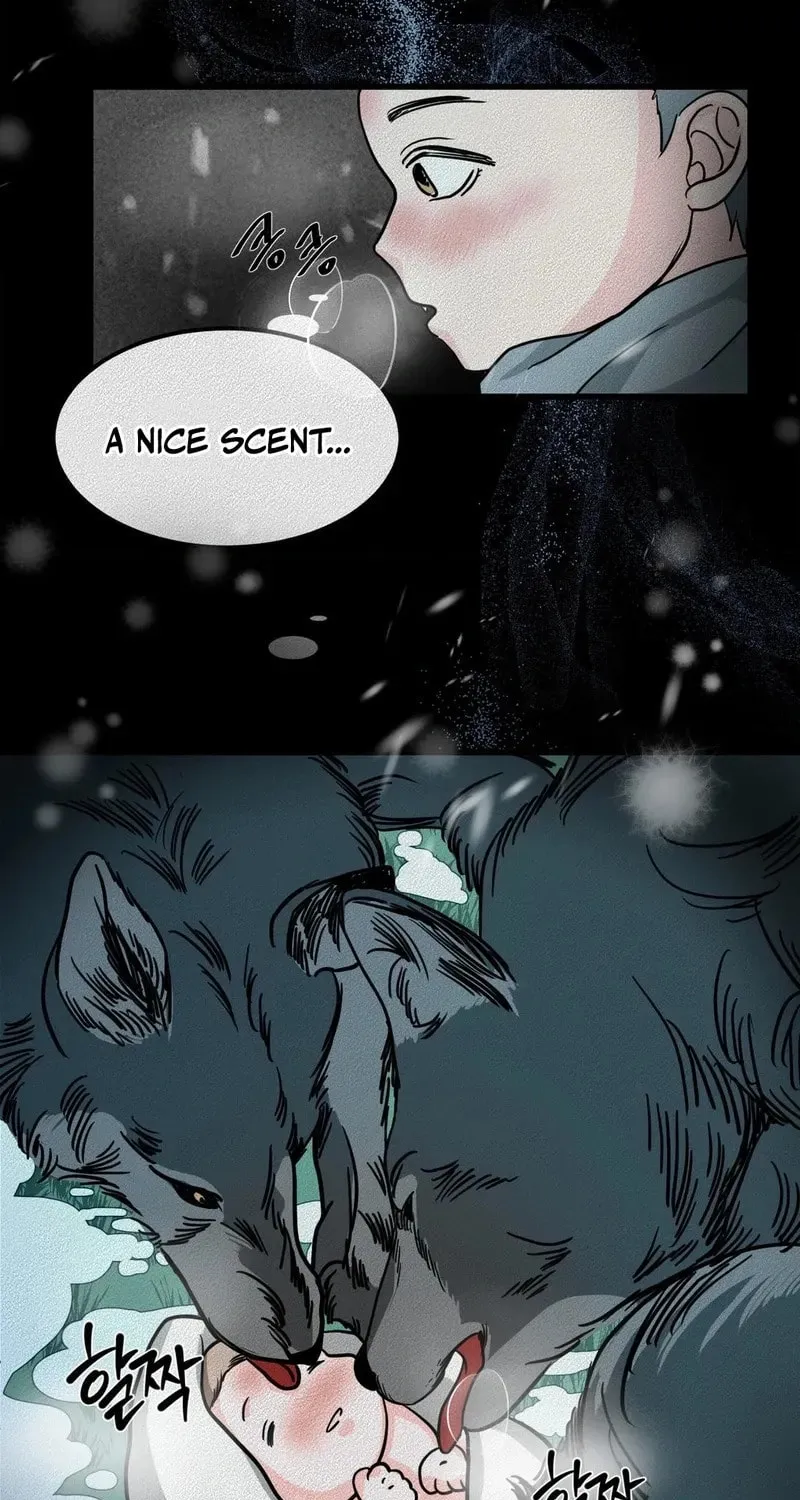 Read Wolves Are Dangerous! chapter 1 image 24 on Lezhin
