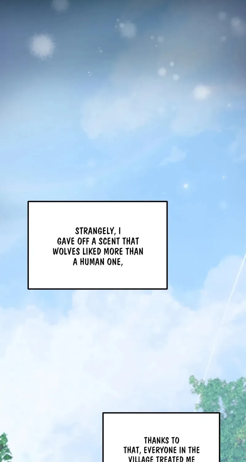 Read Wolves Are Dangerous! chapter 1 image 26 on Lezhin