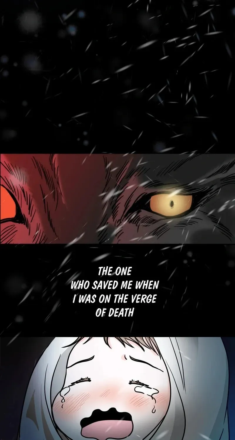 Read Wolves Are Dangerous! chapter 1 image 4 on Lezhin
