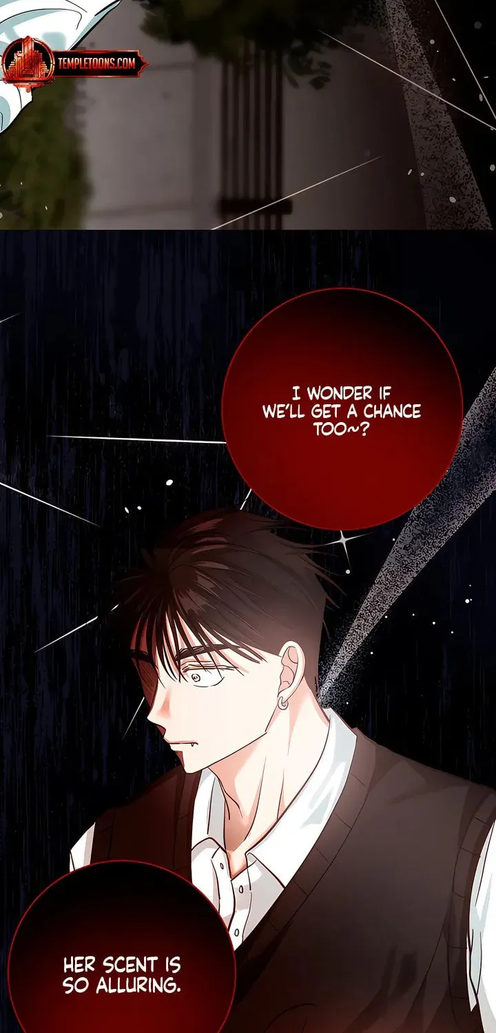 Read Wolves Are Dangerous! chapter 10 image 14 on Lezhin