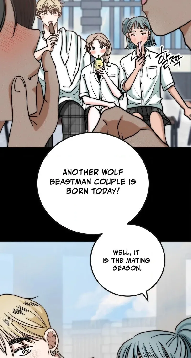 Read Wolves Are Dangerous! chapter 3 image 35 on Lezhin