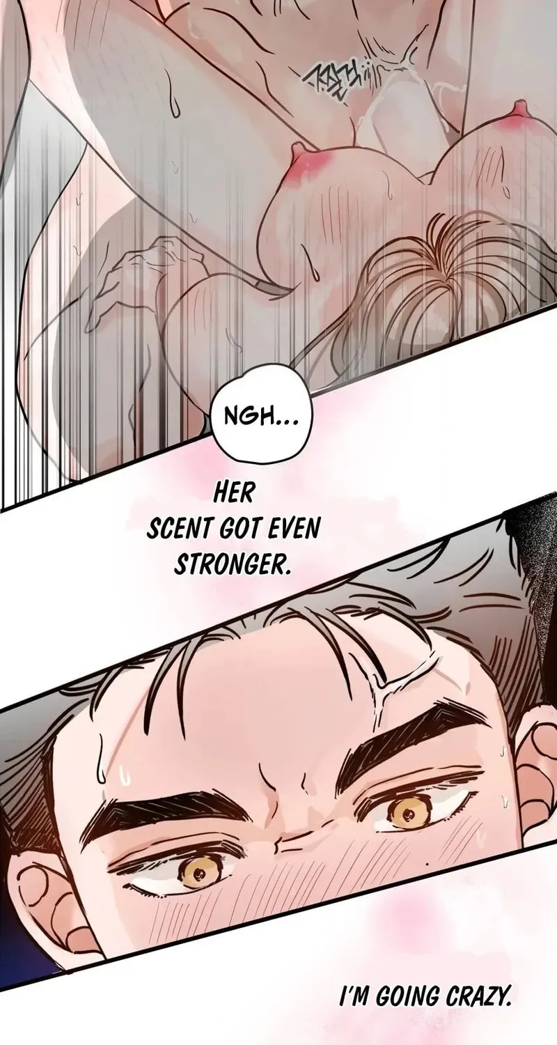 Read Wolves Are Dangerous! chapter 3 image 94 on Lezhin