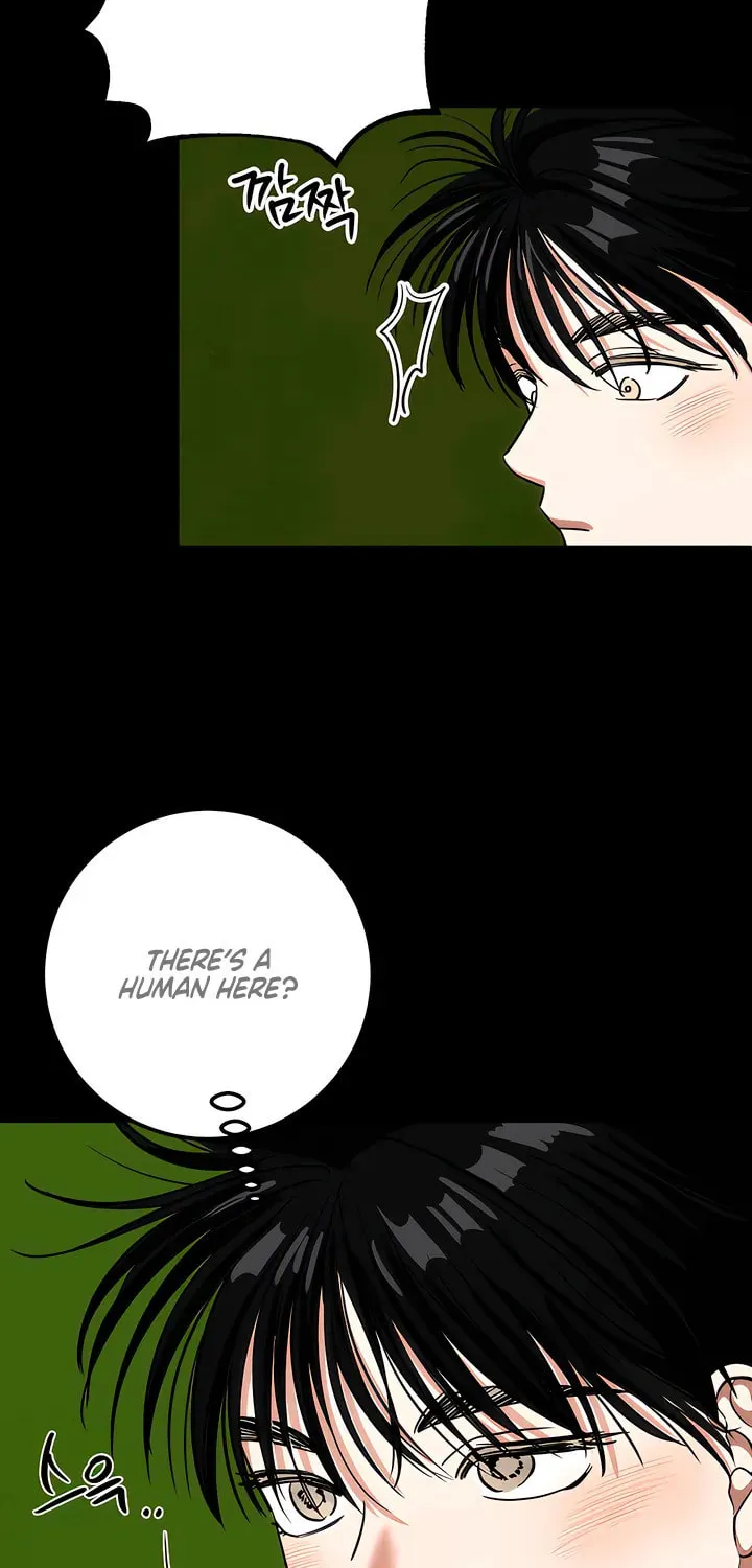 Read Wolves Are Dangerous! chapter 9 image 69 on Lezhin