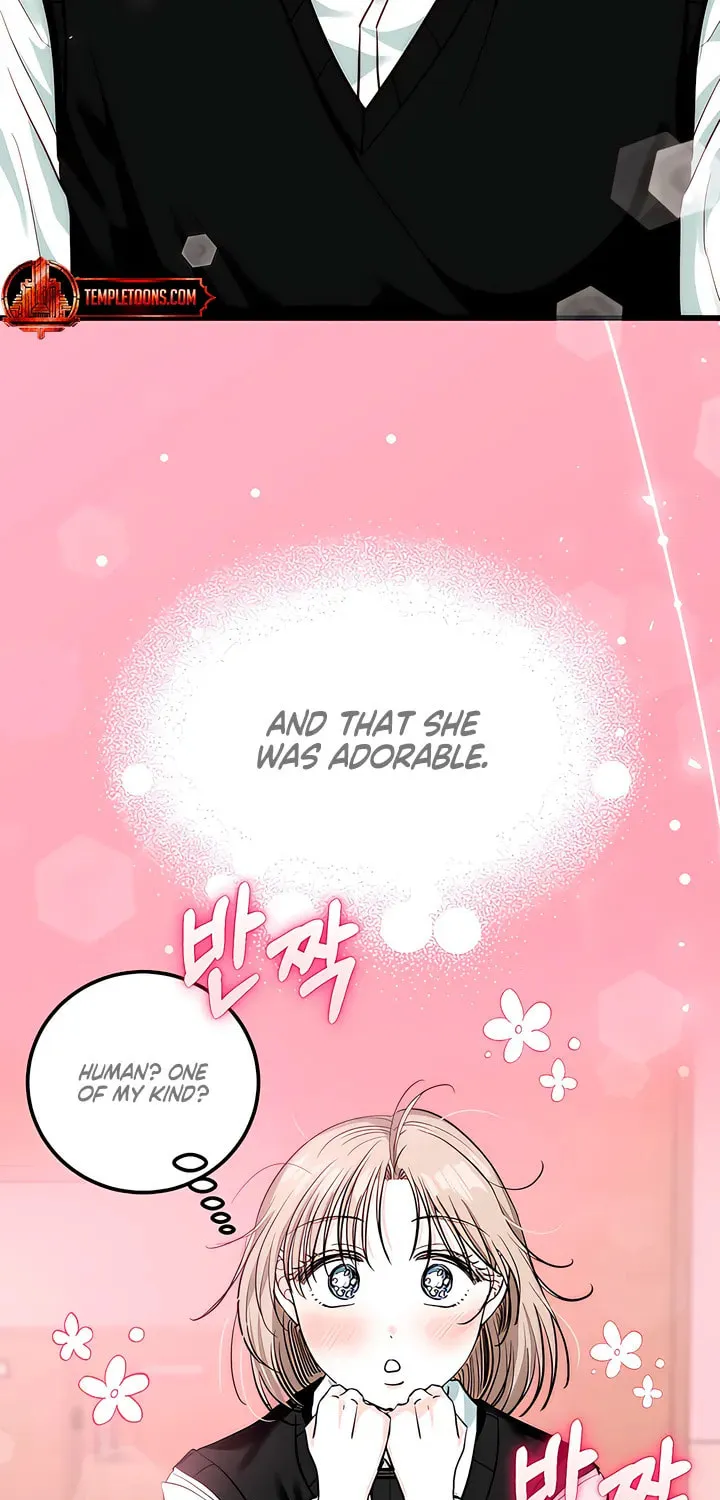 Read Wolves Are Dangerous! chapter 9 image 74 on Lezhin