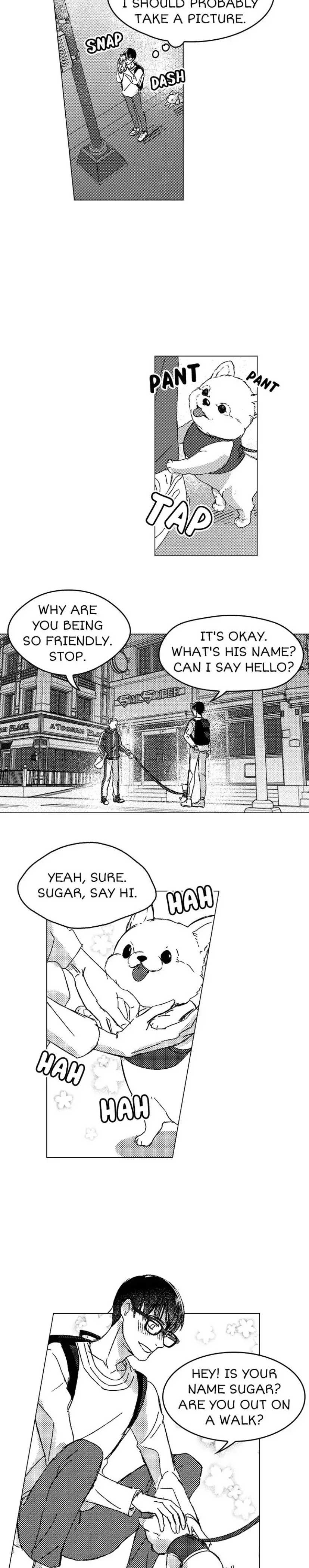 Read Wolves Candy chapter 1 image 7 on Lezhin