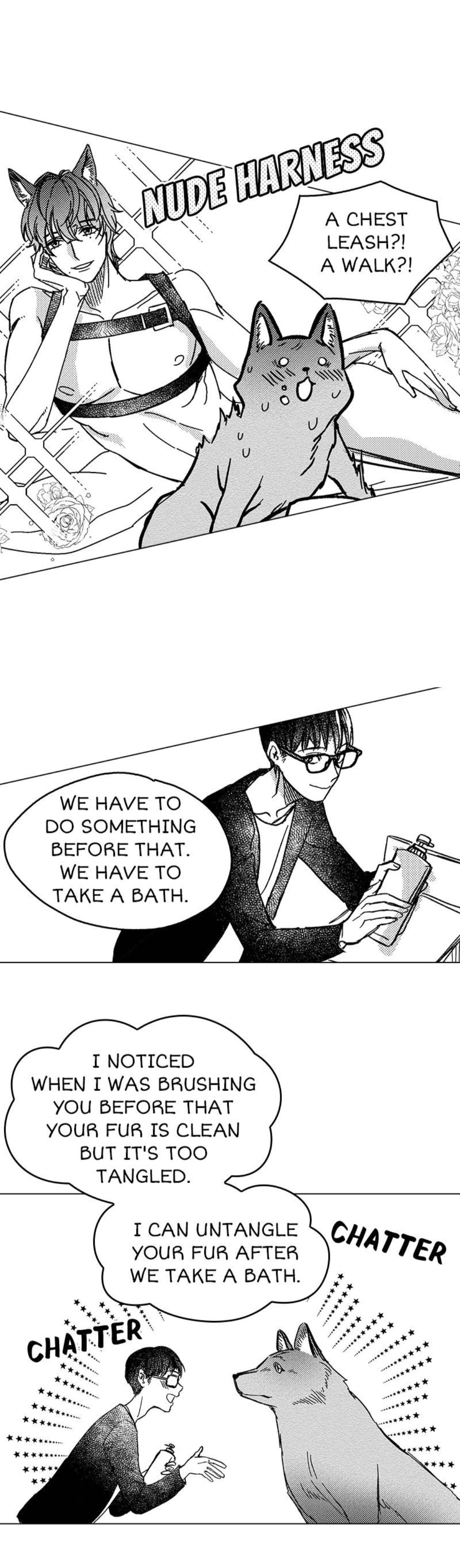 Read Wolves Candy chapter 4 image 11 on Lezhin