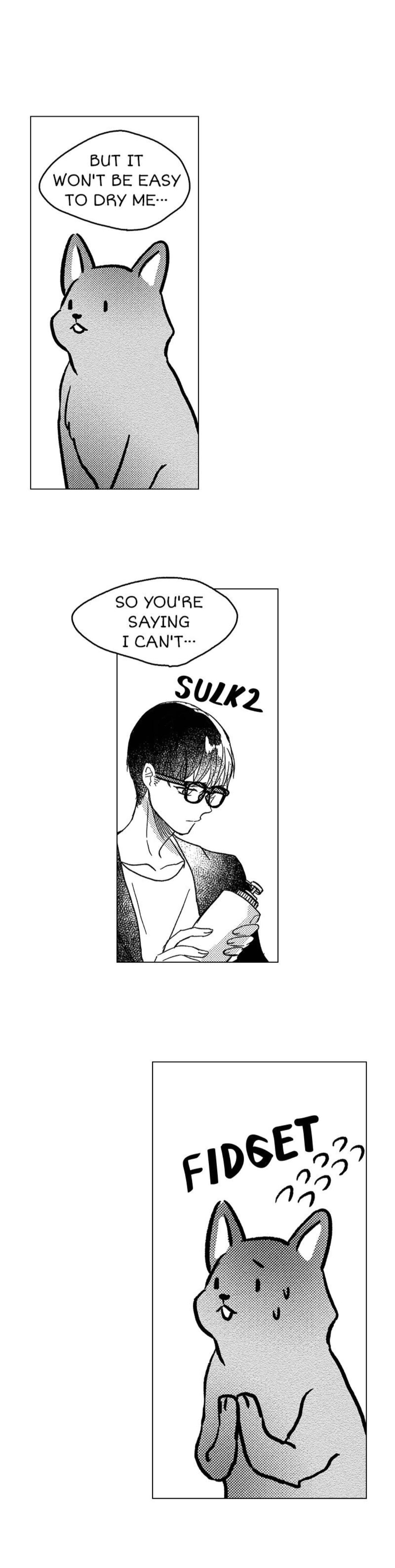 Read Wolves Candy chapter 4 image 12 on Lezhin