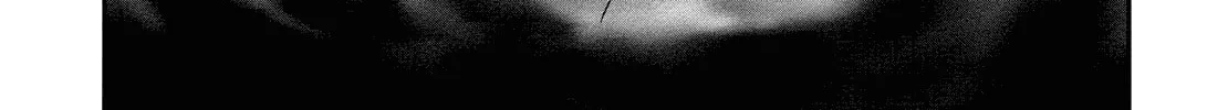 Read Wombs chapter 18 image 37 on Lezhin