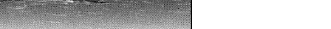 Read Wombs chapter 23 image 25 on Lezhin
