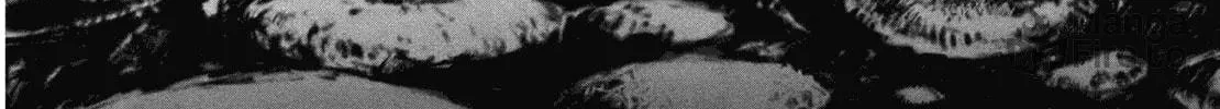 Read Wombs chapter 9 image 19 on Lezhin