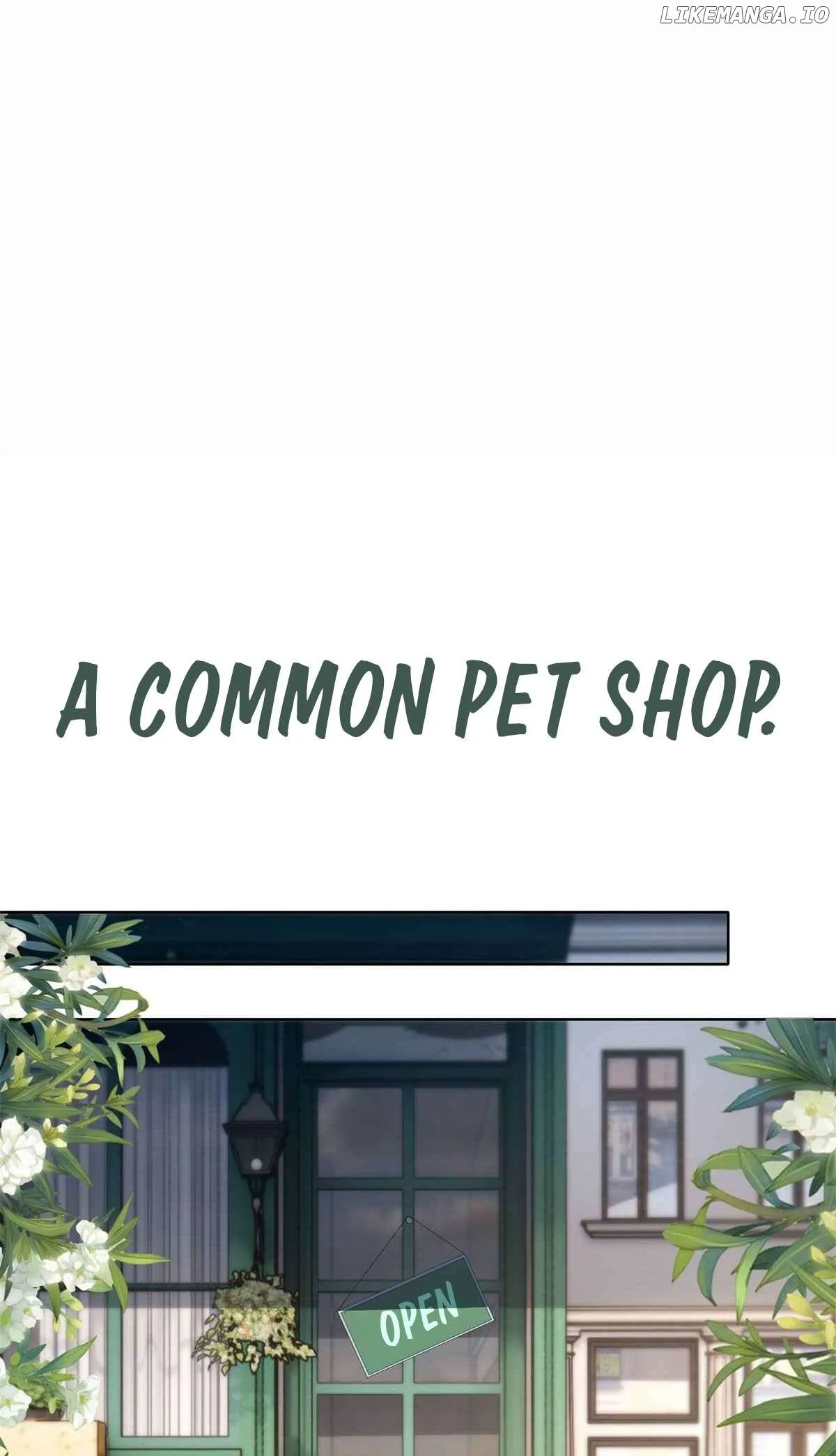 Read Wonder Pet Shop chapter 0.1 image 2 on Lezhin