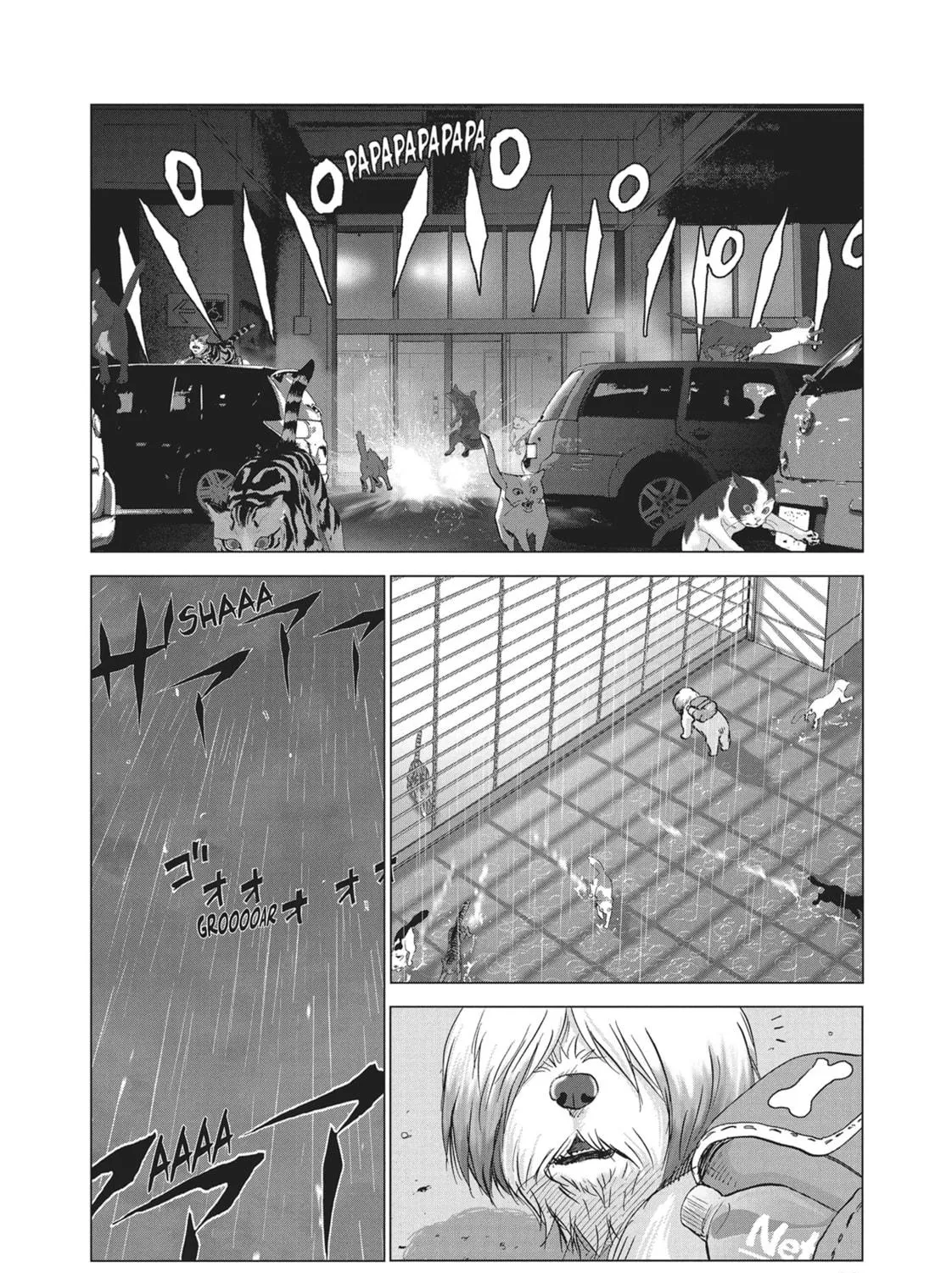 Read Wonderland chapter 11 image 16 on Lezhin