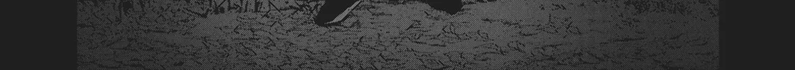 Read Wonderland chapter 37 image 1 on Lezhin
