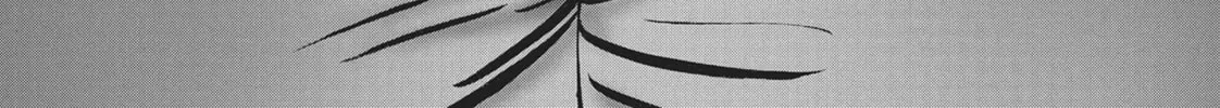 Read Wonderland chapter 41 image 27 on Lezhin
