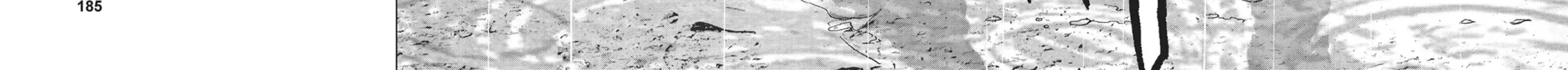 Read Wonderland chapter 9 image 25 on Lezhin