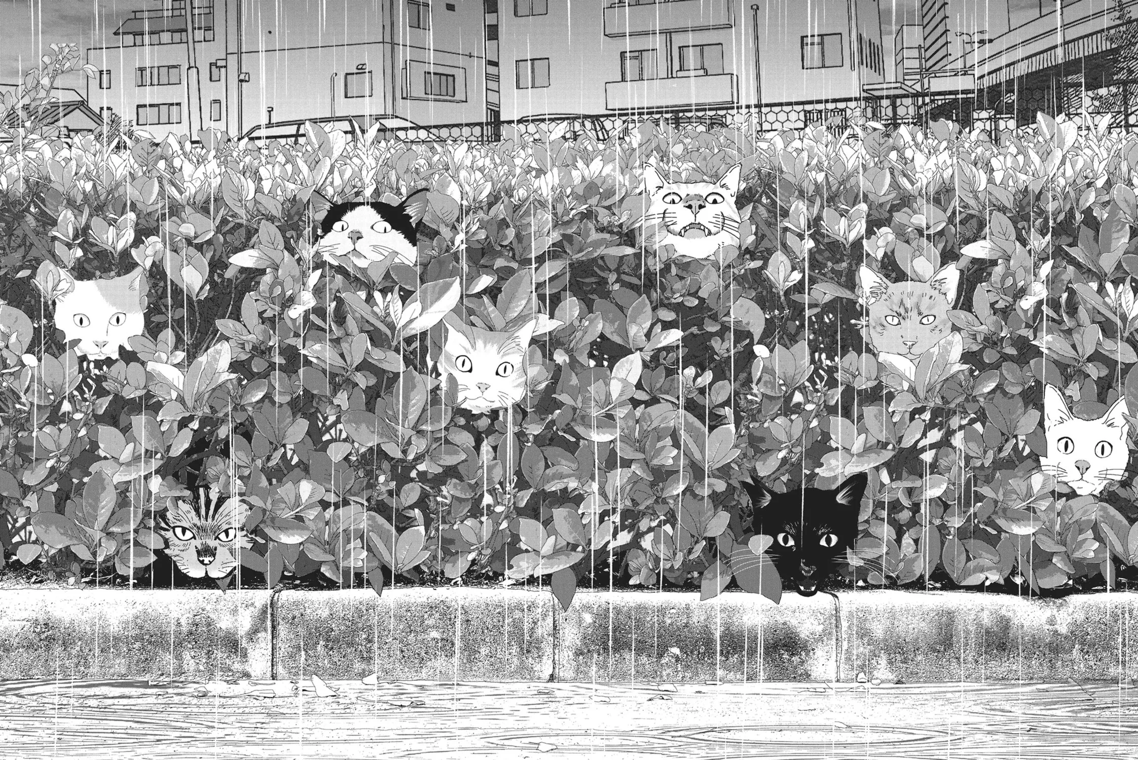 Read Wonderland chapter 9 image 26 on Lezhin