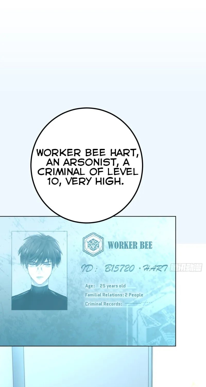 Read Worker Bee chapter 3 image 6 on Lezhin