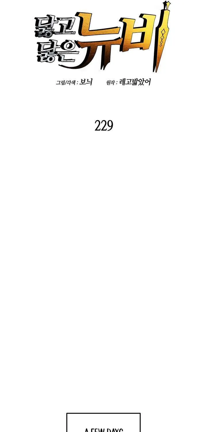 Read Worn And Torn Newbie chapter 229 image 19 on Lezhin