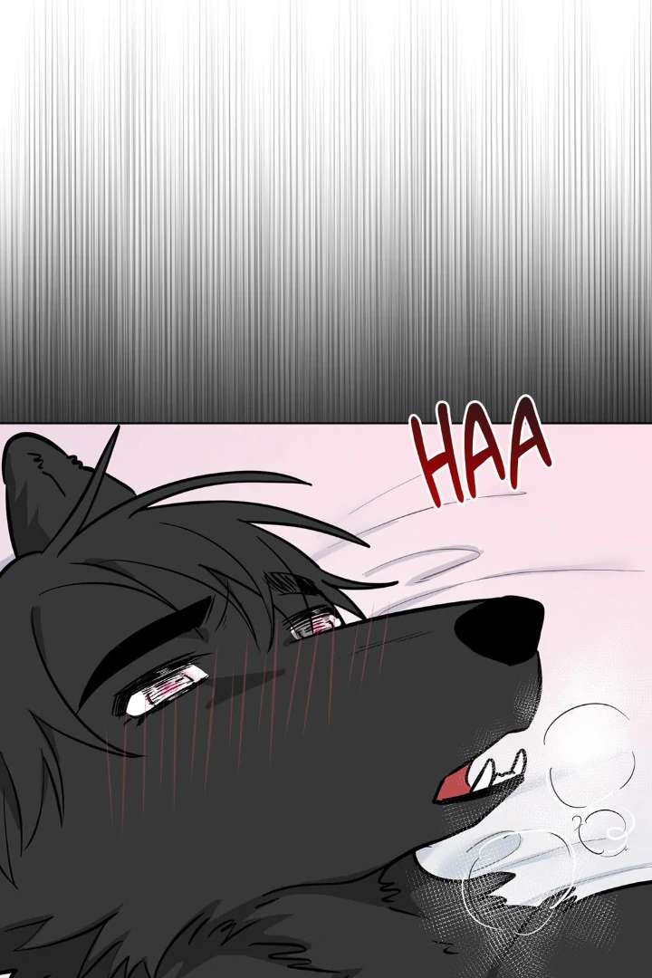 Read Write Me, Touch Me, Read Me chapter 11 image 16 on Lezhin