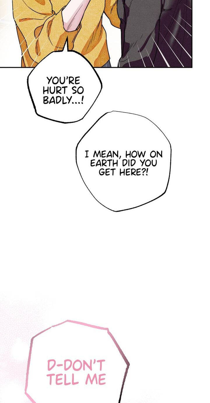 Read Written in the Shadows chapter 1 image 82 on Lezhin
