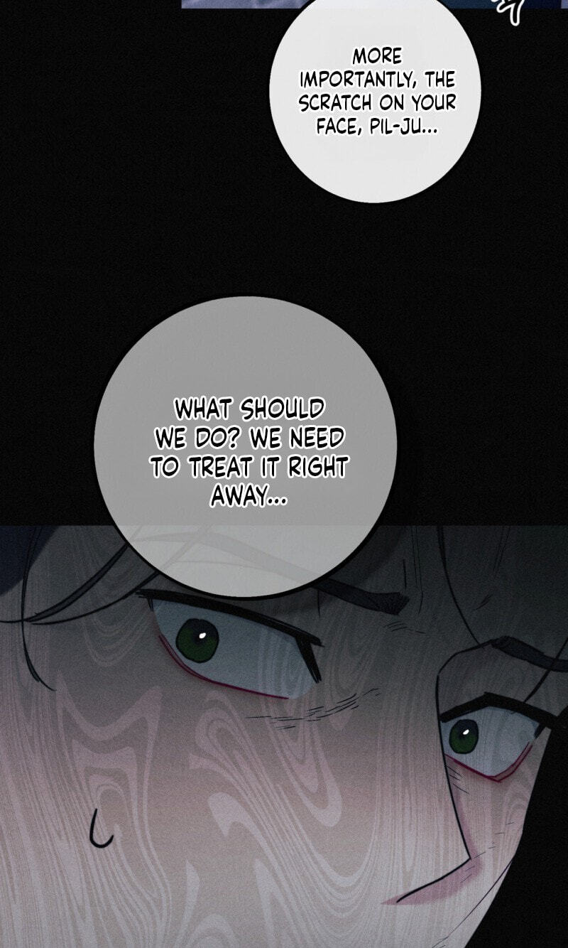 Read Written in the Shadows chapter 11 image 36 on Lezhin