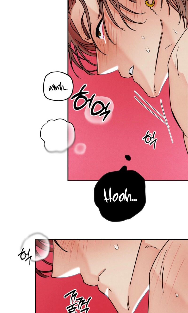 Read Written in the Shadows chapter 14 image 22 on Lezhin