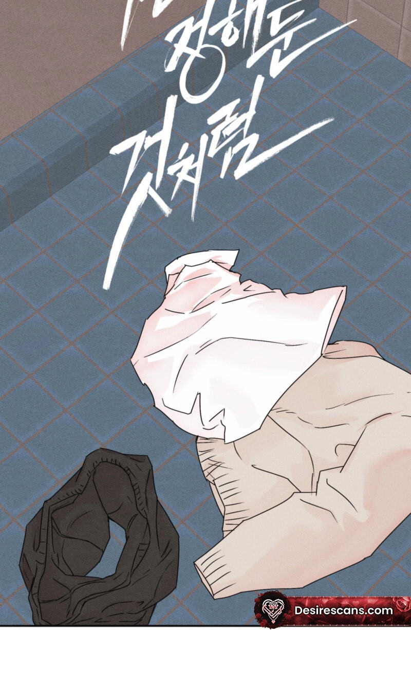 Read Written in the Shadows chapter 14 image 33 on Lezhin