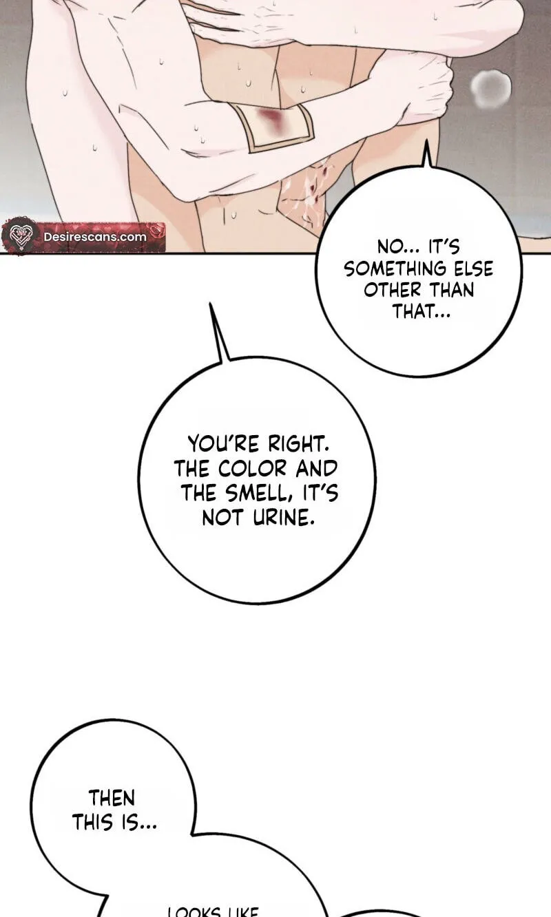 Read Written in the Shadows chapter 17 image 5 on Lezhin