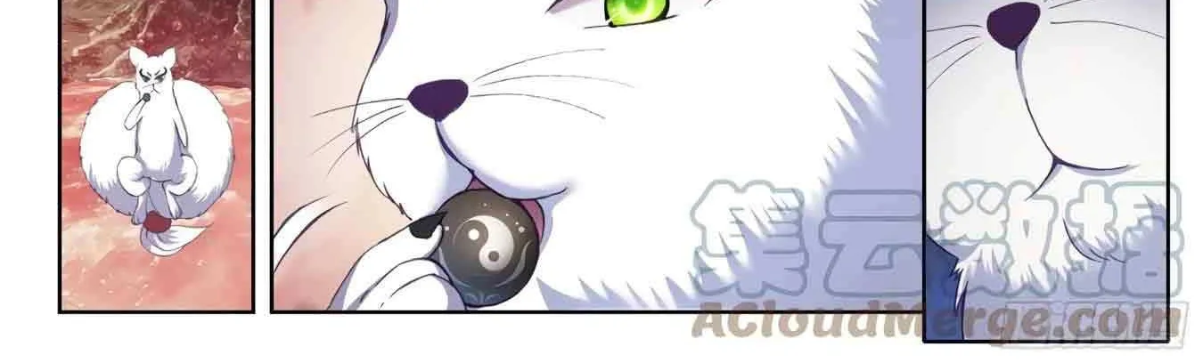 Read Wu Dong Qian Kun chapter 202 image 5 on Lezhin