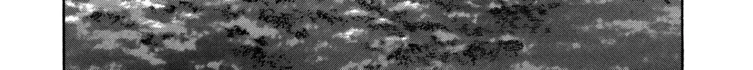 Read Yakitate!! Japan chapter 175 image 1 on Lezhin